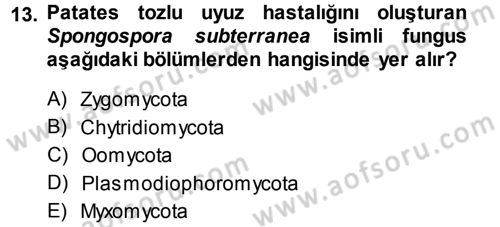 Fitopatoloji Dersi 2013 - 2014 Yılı (Final) Dönem Sonu Sınav Soruları 13. Soru