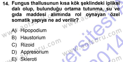 Fitopatoloji Dersi 2013 - 2014 Yılı (Final) Dönem Sonu Sınav Soruları 14. Soru