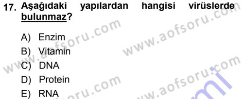 Fitopatoloji Dersi 2013 - 2014 Yılı (Final) Dönem Sonu Sınav Soruları 17. Soru