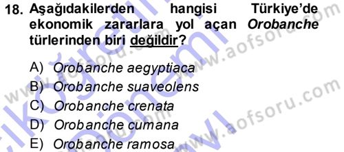 Fitopatoloji Dersi 2013 - 2014 Yılı (Final) Dönem Sonu Sınav Soruları 18. Soru