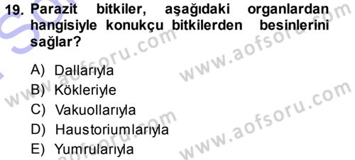 Fitopatoloji Dersi 2013 - 2014 Yılı (Final) Dönem Sonu Sınav Soruları 19. Soru