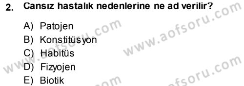 Fitopatoloji Dersi 2013 - 2014 Yılı (Final) Dönem Sonu Sınav Soruları 2. Soru