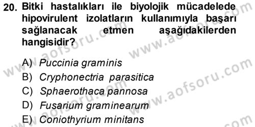 Fitopatoloji Dersi 2013 - 2014 Yılı (Final) Dönem Sonu Sınav Soruları 20. Soru