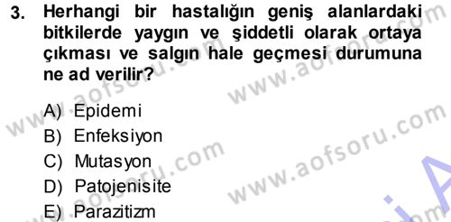 Fitopatoloji Dersi 2013 - 2014 Yılı (Final) Dönem Sonu Sınav Soruları 3. Soru