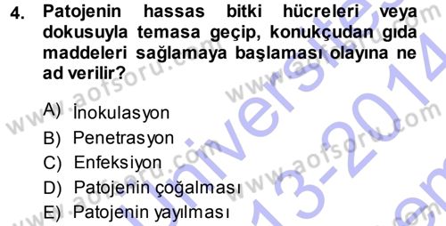 Fitopatoloji Dersi 2013 - 2014 Yılı (Final) Dönem Sonu Sınav Soruları 4. Soru