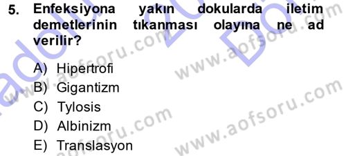 Fitopatoloji Dersi 2013 - 2014 Yılı (Final) Dönem Sonu Sınav Soruları 5. Soru