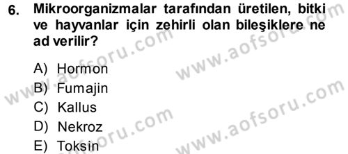 Fitopatoloji Dersi 2013 - 2014 Yılı (Final) Dönem Sonu Sınav Soruları 6. Soru