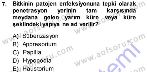 Fitopatoloji Dersi 2013 - 2014 Yılı (Final) Dönem Sonu Sınav Soruları 7. Soru