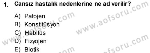 Fitopatoloji Dersi 2013 - 2014 Yılı Tek Ders Sınav Soruları 1. Soru