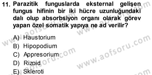 Fitopatoloji Dersi 2013 - 2014 Yılı Tek Ders Sınav Soruları 11. Soru