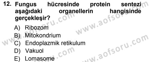 Fitopatoloji Dersi 2013 - 2014 Yılı Tek Ders Sınav Soruları 12. Soru