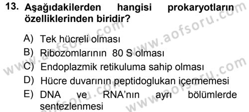 Fitopatoloji Dersi 2013 - 2014 Yılı Tek Ders Sınav Soruları 13. Soru