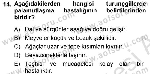 Fitopatoloji Dersi 2013 - 2014 Yılı Tek Ders Sınav Soruları 14. Soru