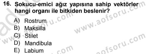 Fitopatoloji Dersi 2013 - 2014 Yılı Tek Ders Sınav Soruları 16. Soru