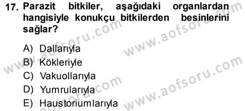 Fitopatoloji Dersi 2013 - 2014 Yılı Tek Ders Sınav Soruları 17. Soru