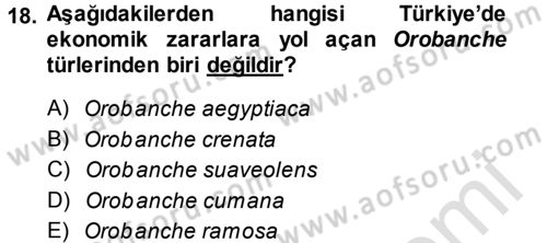 Fitopatoloji Dersi 2013 - 2014 Yılı Tek Ders Sınav Soruları 18. Soru