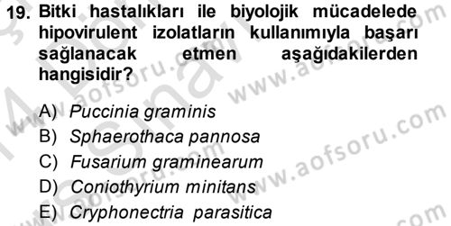 Fitopatoloji Dersi 2013 - 2014 Yılı Tek Ders Sınav Soruları 19. Soru