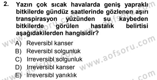 Fitopatoloji Dersi 2013 - 2014 Yılı Tek Ders Sınav Soruları 2. Soru