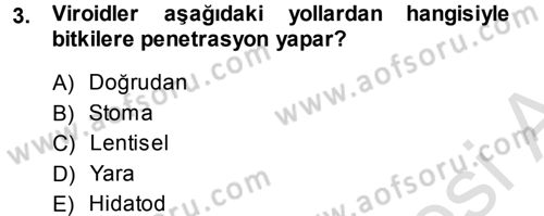 Fitopatoloji Dersi 2013 - 2014 Yılı Tek Ders Sınav Soruları 3. Soru