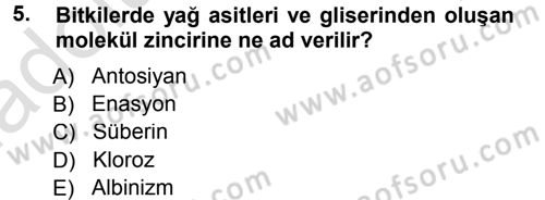 Fitopatoloji Dersi 2013 - 2014 Yılı Tek Ders Sınav Soruları 5. Soru