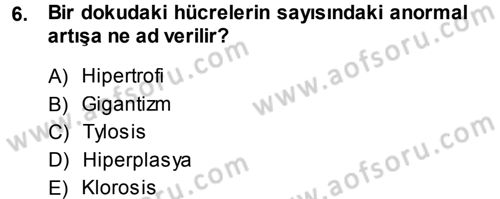 Fitopatoloji Dersi 2013 - 2014 Yılı Tek Ders Sınav Soruları 6. Soru