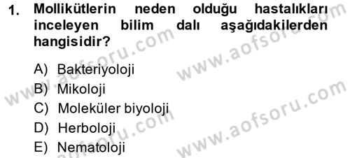 Fitopatoloji Dersi 2014 - 2015 Yılı (Vize) Ara Sınav Soruları 1. Soru