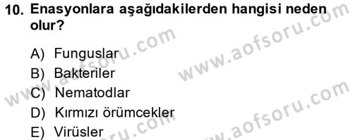 Fitopatoloji Dersi 2014 - 2015 Yılı (Vize) Ara Sınav Soruları 10. Soru