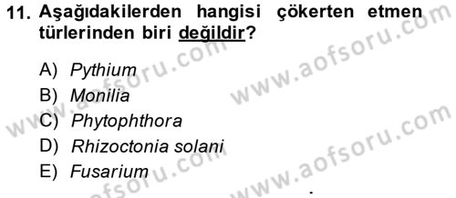 Fitopatoloji Dersi 2014 - 2015 Yılı (Vize) Ara Sınav Soruları 11. Soru