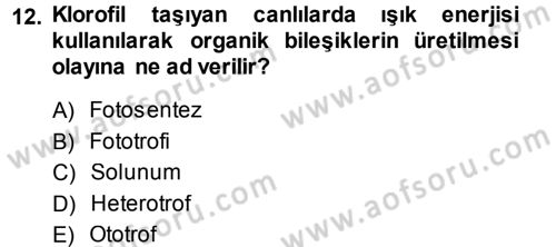 Fitopatoloji Dersi 2014 - 2015 Yılı (Vize) Ara Sınav Soruları 12. Soru