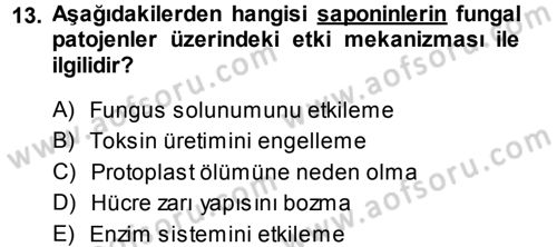 Fitopatoloji Dersi 2014 - 2015 Yılı (Vize) Ara Sınav Soruları 13. Soru