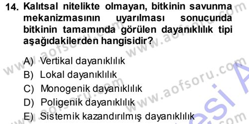 Fitopatoloji Dersi 2014 - 2015 Yılı (Vize) Ara Sınav Soruları 14. Soru