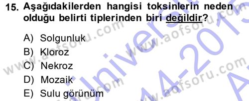 Fitopatoloji Dersi 2014 - 2015 Yılı (Vize) Ara Sınav Soruları 15. Soru