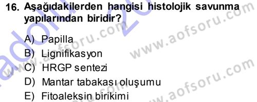 Fitopatoloji Dersi 2014 - 2015 Yılı (Vize) Ara Sınav Soruları 16. Soru