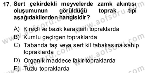Fitopatoloji Dersi 2014 - 2015 Yılı (Vize) Ara Sınav Soruları 17. Soru