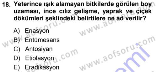 Fitopatoloji Dersi 2014 - 2015 Yılı (Vize) Ara Sınav Soruları 18. Soru