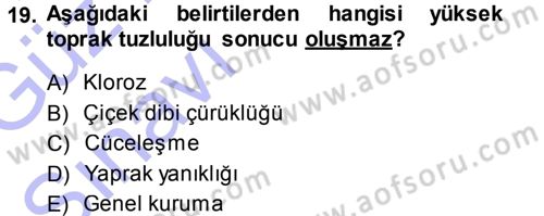 Fitopatoloji Dersi 2014 - 2015 Yılı (Vize) Ara Sınav Soruları 19. Soru