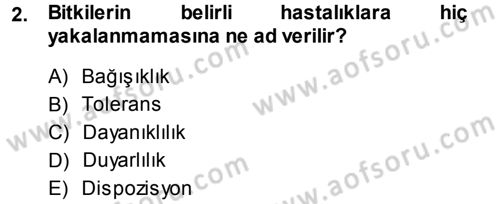 Fitopatoloji Dersi 2014 - 2015 Yılı (Vize) Ara Sınav Soruları 2. Soru