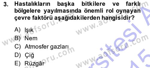 Fitopatoloji Dersi 2014 - 2015 Yılı (Vize) Ara Sınav Soruları 3. Soru