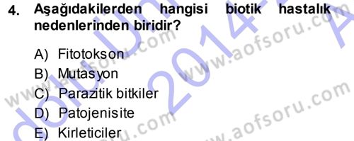 Fitopatoloji Dersi 2014 - 2015 Yılı (Vize) Ara Sınav Soruları 4. Soru