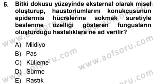 Fitopatoloji Dersi 2014 - 2015 Yılı (Vize) Ara Sınav Soruları 5. Soru