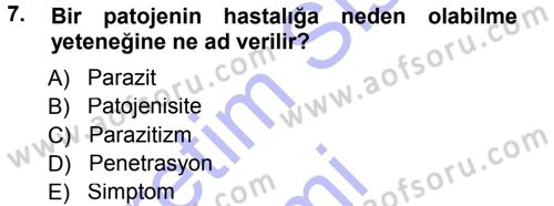 Fitopatoloji Dersi 2014 - 2015 Yılı (Vize) Ara Sınav Soruları 7. Soru