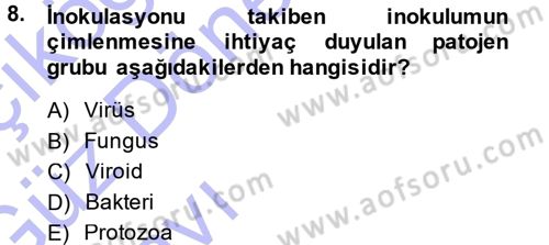 Fitopatoloji Dersi 2014 - 2015 Yılı (Vize) Ara Sınav Soruları 8. Soru