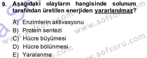 Fitopatoloji Dersi 2014 - 2015 Yılı (Vize) Ara Sınav Soruları 9. Soru