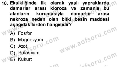 Fitopatoloji Dersi 2014 - 2015 Yılı (Final) Dönem Sonu Sınav Soruları 10. Soru
