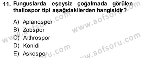 Fitopatoloji Dersi 2014 - 2015 Yılı (Final) Dönem Sonu Sınav Soruları 11. Soru