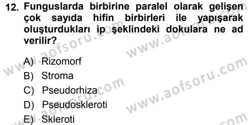 Fitopatoloji Dersi 2014 - 2015 Yılı (Final) Dönem Sonu Sınav Soruları 12. Soru