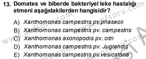 Fitopatoloji Dersi 2014 - 2015 Yılı (Final) Dönem Sonu Sınav Soruları 13. Soru