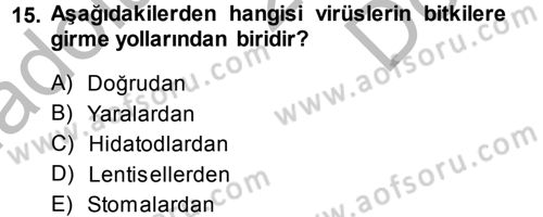 Fitopatoloji Dersi 2014 - 2015 Yılı (Final) Dönem Sonu Sınav Soruları 15. Soru