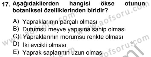 Fitopatoloji Dersi 2014 - 2015 Yılı (Final) Dönem Sonu Sınav Soruları 17. Soru