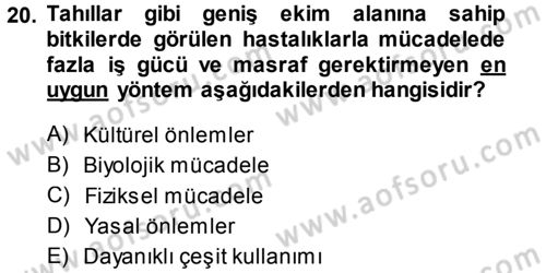 Fitopatoloji Dersi 2014 - 2015 Yılı (Final) Dönem Sonu Sınav Soruları 20. Soru